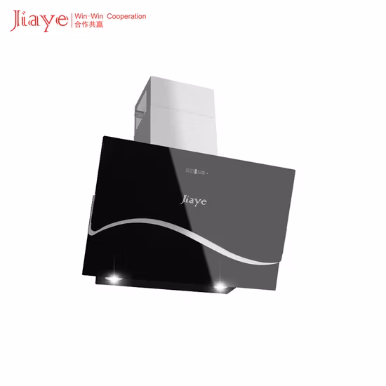 Acier inoxydable de style européen Inox 600 mm avec hotte de cuisine certifiée CE/CB/